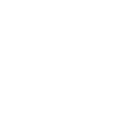 ---TEST---